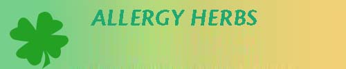 Allergy Herbs Treatment Cure
